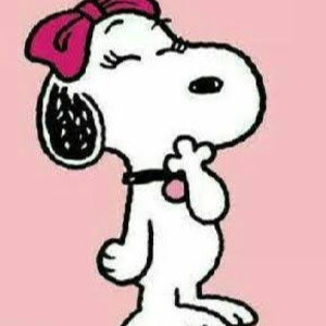 Meet your Posher, Evelyn abril